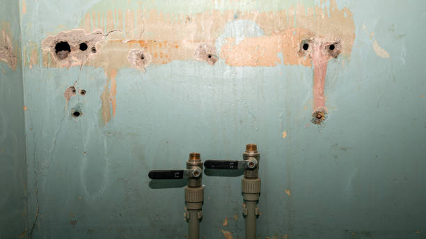 Best 24-hour water damage restoration  in Nicholson, MS